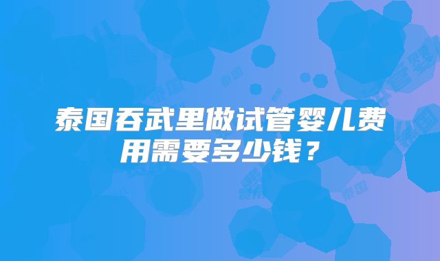 泰国吞武里做试管婴儿费用需要多少钱？