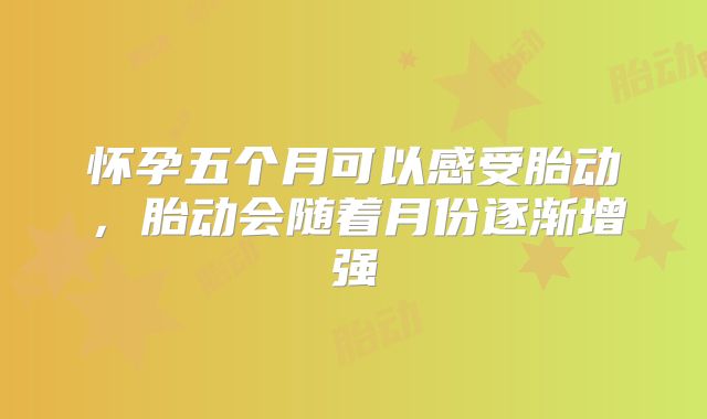 怀孕五个月可以感受胎动，胎动会随着月份逐渐增强