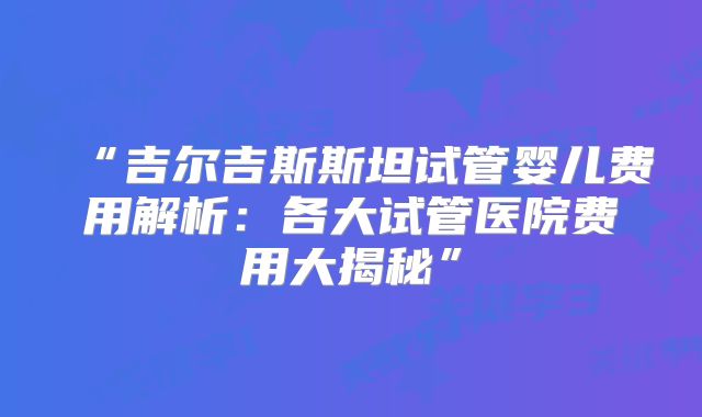 “吉尔吉斯斯坦试管婴儿费用解析：各大试管医院费用大揭秘”