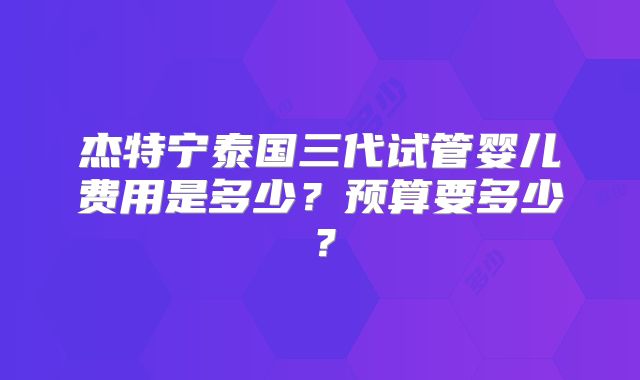 杰特宁泰国三代试管婴儿费用是多少？预算要多少？