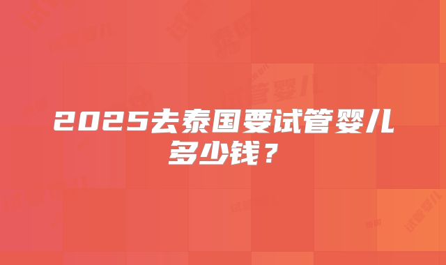 2025去泰国要试管婴儿多少钱？