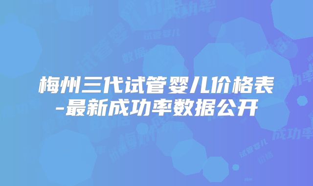 梅州三代试管婴儿价格表-最新成功率数据公开