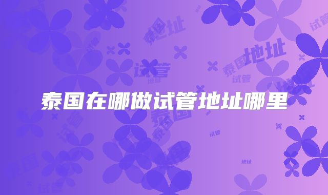 泰国在哪做试管地址哪里