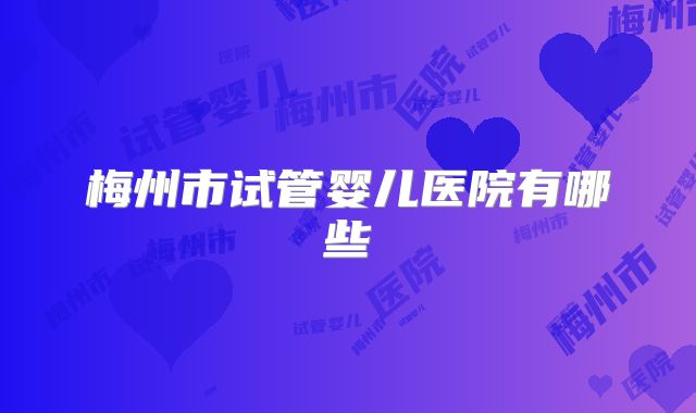 梅州市试管婴儿医院有哪些