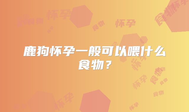 鹿狗怀孕一般可以喂什么食物?
