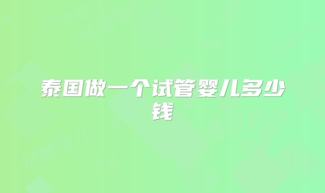 泰国做一个试管婴儿多少钱