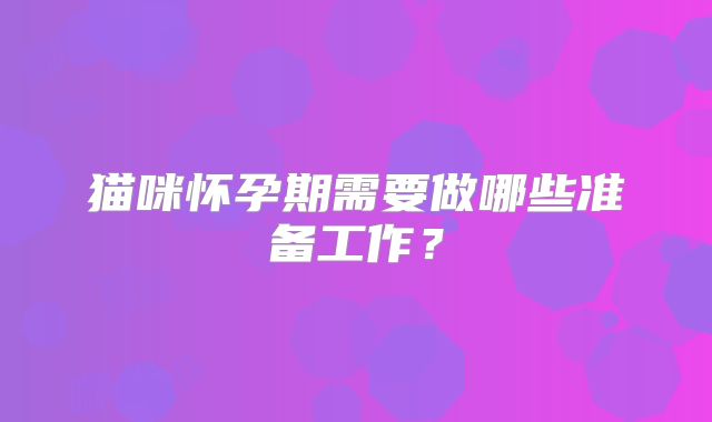 猫咪怀孕期需要做哪些准备工作？