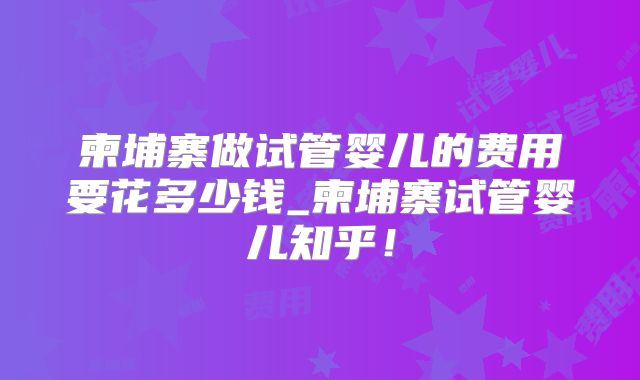 柬埔寨做试管婴儿的费用要花多少钱_柬埔寨试管婴儿知乎！