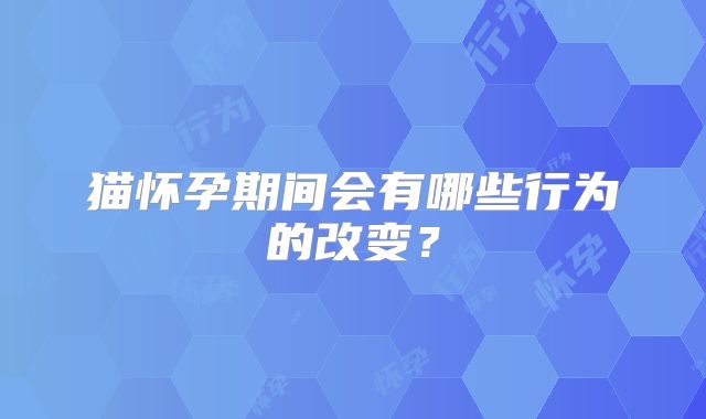 猫怀孕期间会有哪些行为的改变?