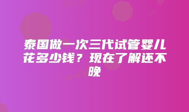 泰国做一次三代试管婴儿花多少钱？现在了解还不晚