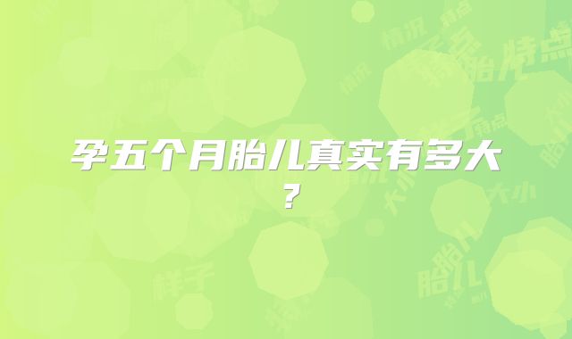 孕五个月胎儿真实有多大?