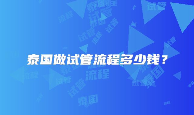 泰国做试管流程多少钱?