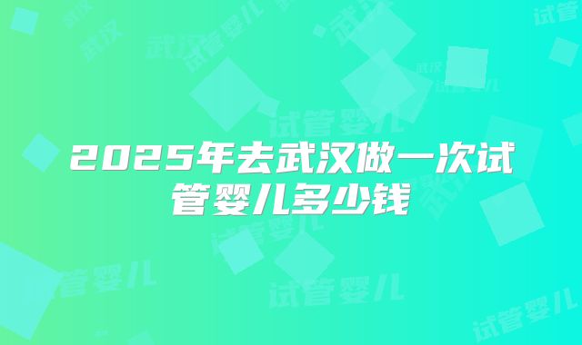 2025年去武汉做一次试管婴儿多少钱