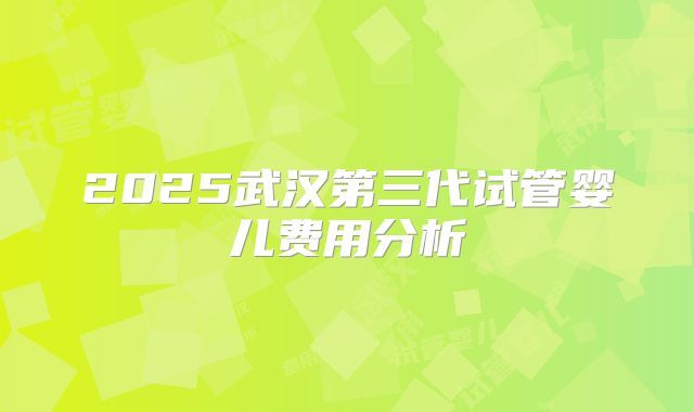 2025武汉第三代试管婴儿费用分析