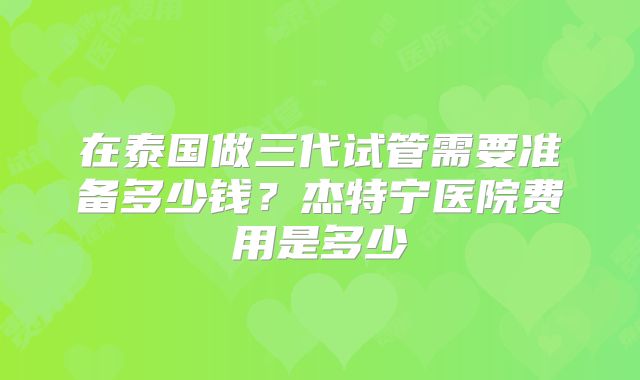 在泰国做三代试管需要准备多少钱?杰特宁医院费用是多少