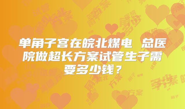 单角子宫在皖北煤电 总医院做超长方案试管生子需要多少钱？