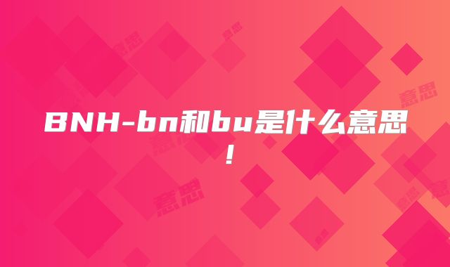 BNH-bn和bu是什么意思！