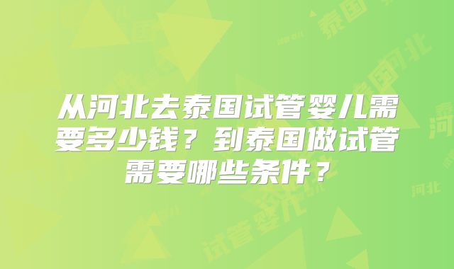 从河北去泰国试管婴儿需要多少钱？到泰国做试管需要哪些条件？