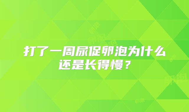 打了一周尿促卵泡为什么还是长得慢？