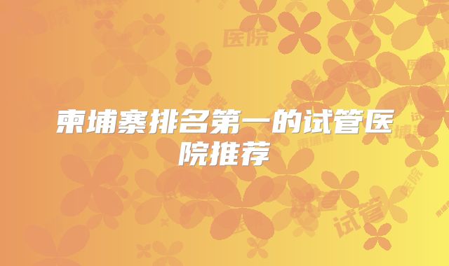 柬埔寨排名第一的试管医院推荐