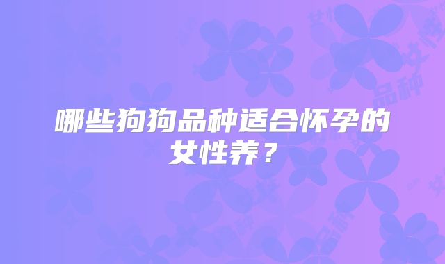 哪些狗狗品种适合怀孕的女性养？