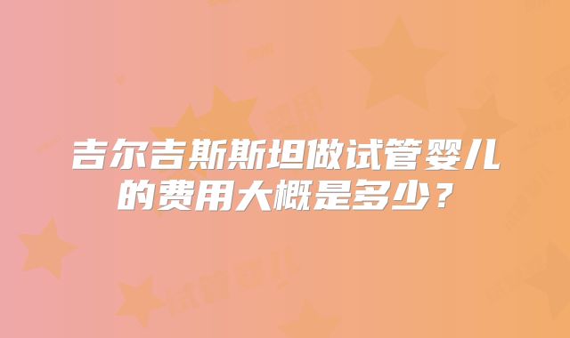 吉尔吉斯斯坦做试管婴儿的费用大概是多少？