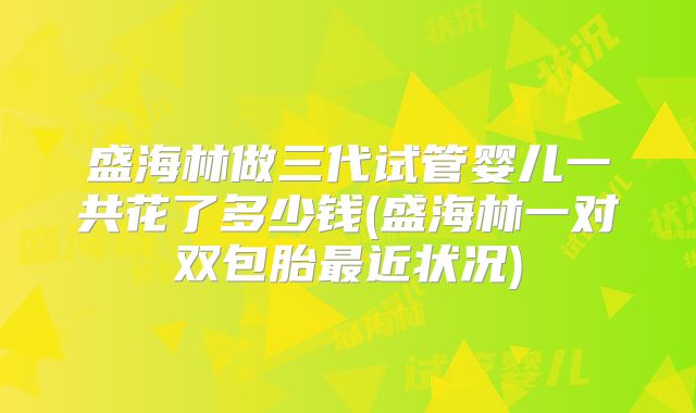 盛海林做三代试管婴儿一共花了多少钱(盛海林一对双包胎最近状况)