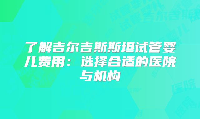 了解吉尔吉斯斯坦试管婴儿费用：选择合适的医院与机构