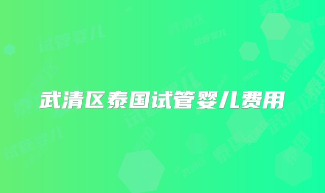 武清区泰国试管婴儿费用