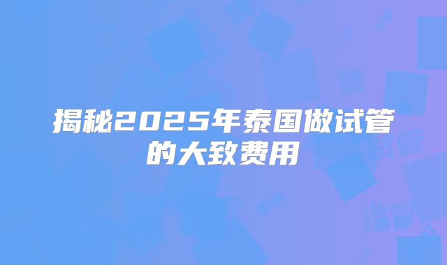 揭秘2025年泰国做试管的大致费用