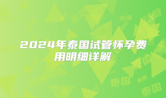 2024年泰国试管怀孕费用明细详解
