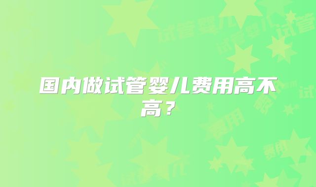 国内做试管婴儿费用高不高？