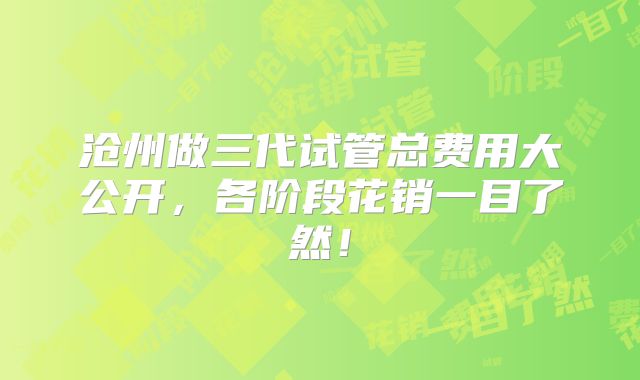 沧州做三代试管总费用大公开,各阶段花销一目了然!
