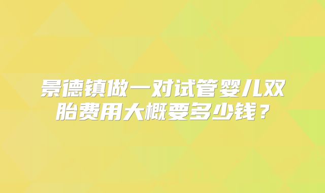 景德镇做一对试管婴儿双胎费用大概要多少钱？