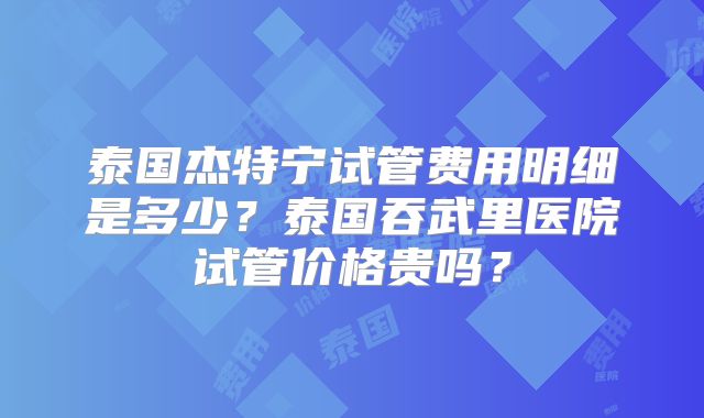 泰国杰特宁试管费用明细是多少？泰国吞武里医院试管价格贵吗？