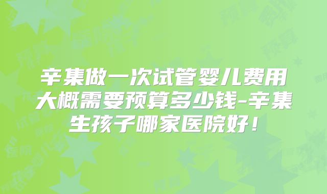 辛集做一次试管婴儿费用大概需要预算多少钱-辛集生孩子哪家医院好！