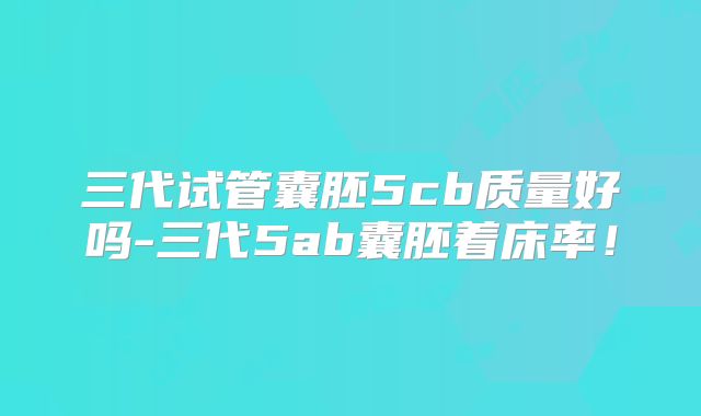 三代试管囊胚5cb质量好吗-三代5ab囊胚着床率！
