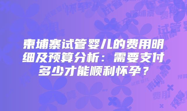 柬埔寨试管婴儿的费用明细及预算分析：需要支付多少才能顺利怀孕？