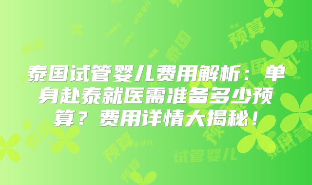 泰国试管婴儿费用解析:单身赴泰就医需准备多少预算?费用详情大揭秘!