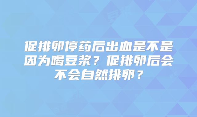 促排卵停药后出血是不是因为喝豆浆？促排卵后会不会自然排卵？