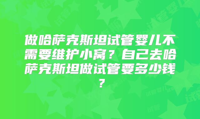 做哈萨克斯坦试管婴儿不需要维护小窝？自己去哈萨克斯坦做试管要多少钱？