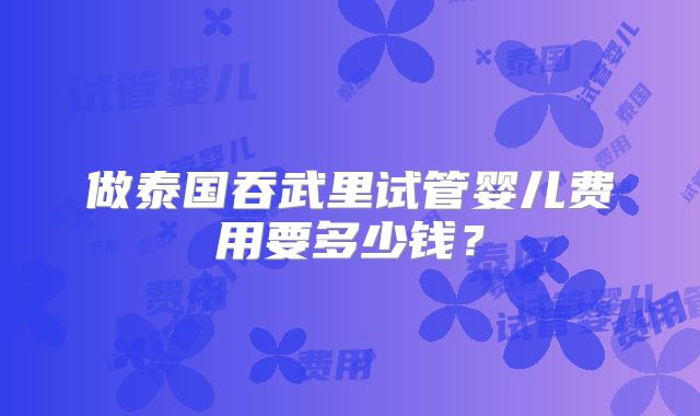 做泰国吞武里试管婴儿费用要多少钱？
