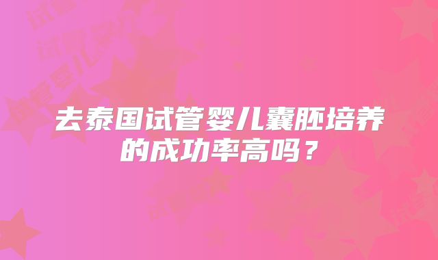 去泰国试管婴儿囊胚培养的成功率高吗？