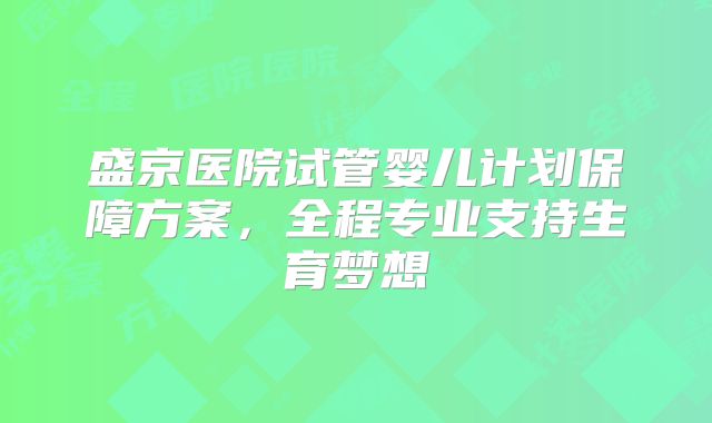 盛京医院试管婴儿计划保障方案，全程专业支持生育梦想
