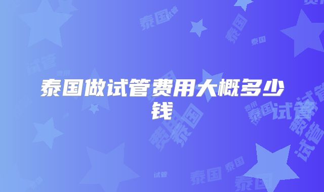泰国做试管费用大概多少钱