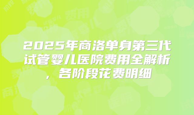2025年商洛单身第三代试管婴儿医院费用全解析，各阶段花费明细