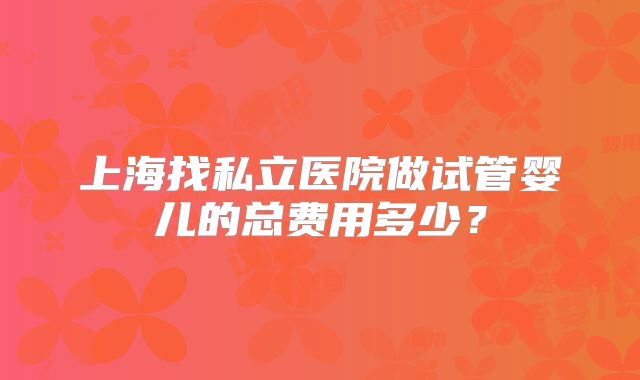 上海找私立医院做试管婴儿的总费用多少？