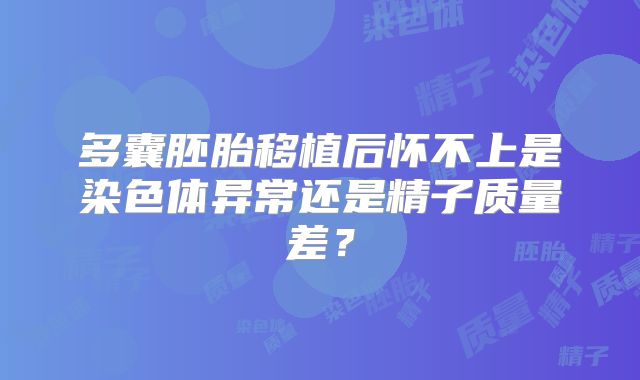多囊胚胎移植后怀不上是染色体异常还是精子质量差？