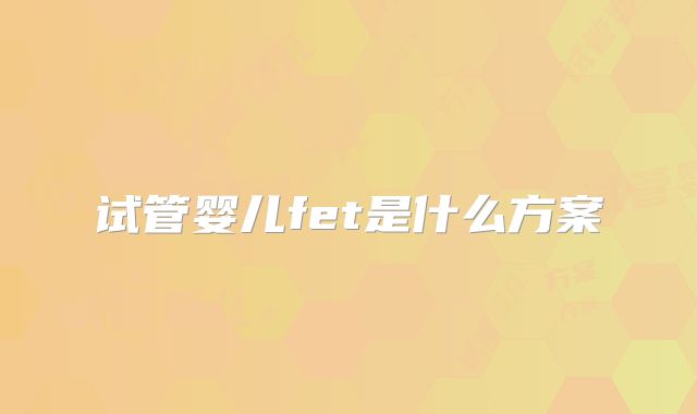 试管婴儿fet是什么方案