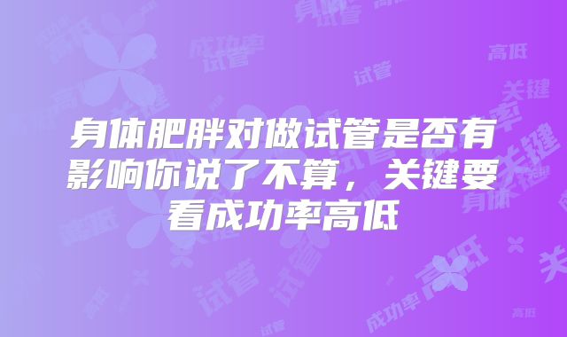 身体肥胖对做试管是否有影响你说了不算,关键要看成功率高低